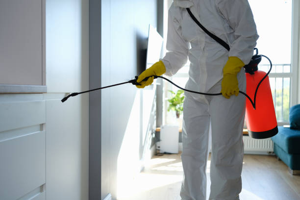 Best Crawl Space Mold Removal  in Seaville, NJ