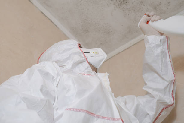 Best Residential Mold Removal  in Seaville, NJ